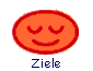  Ziele 